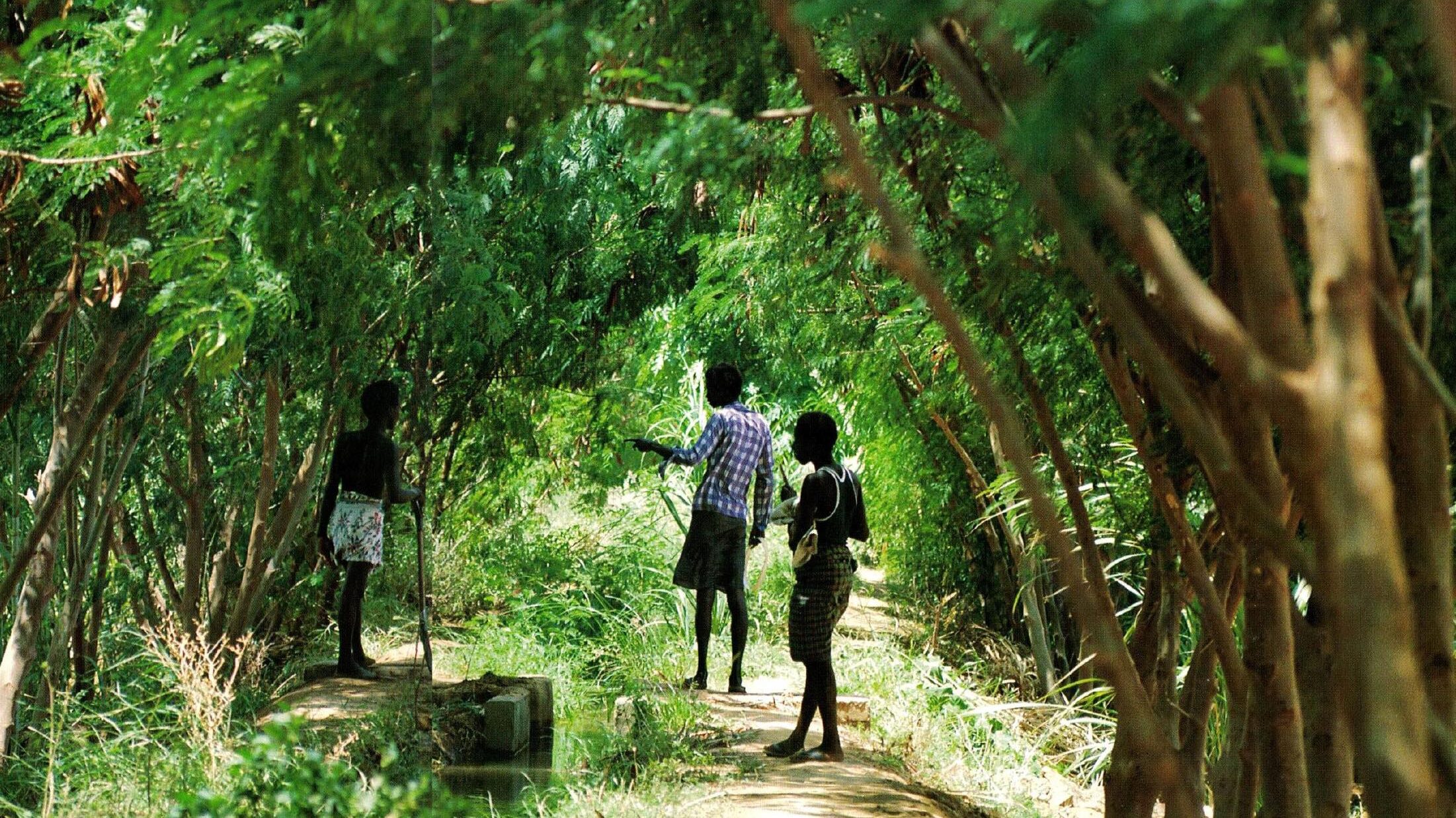 遠い日のアフリカ　佐久間典子写真展